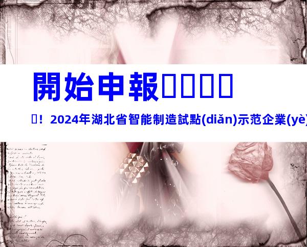 開始申報！2024年湖北省智能制造試點(diǎn)示范企業(yè)申報條件、要素及申報時間